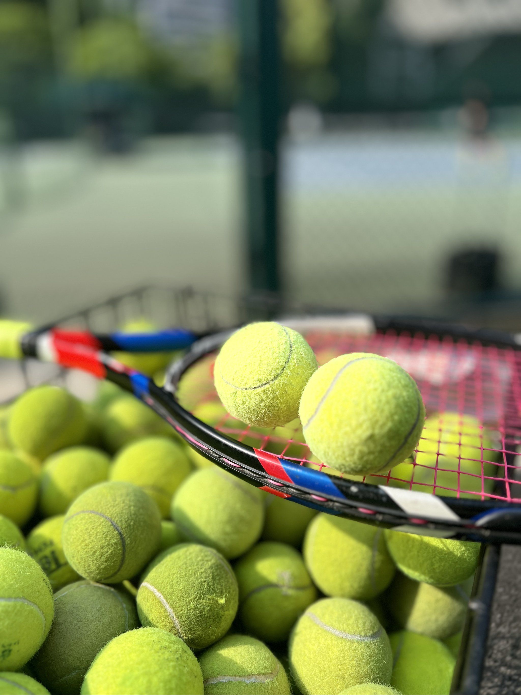 無論教練有 無論教練有